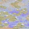 lillypad08
